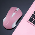 Thunder Wolf Wireless Mouse